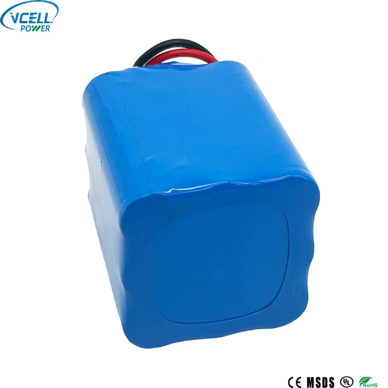 9,6 V 6000 mAh IFR18650 LiFePo4-Akku